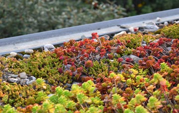 the cost of Matlock green roof installation