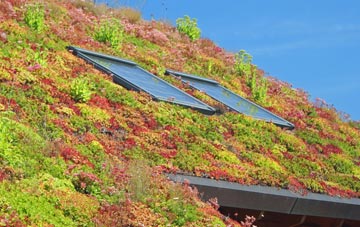 Matlock living roof systems