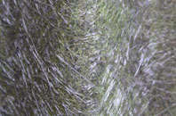 Matlock fibreglass roof work